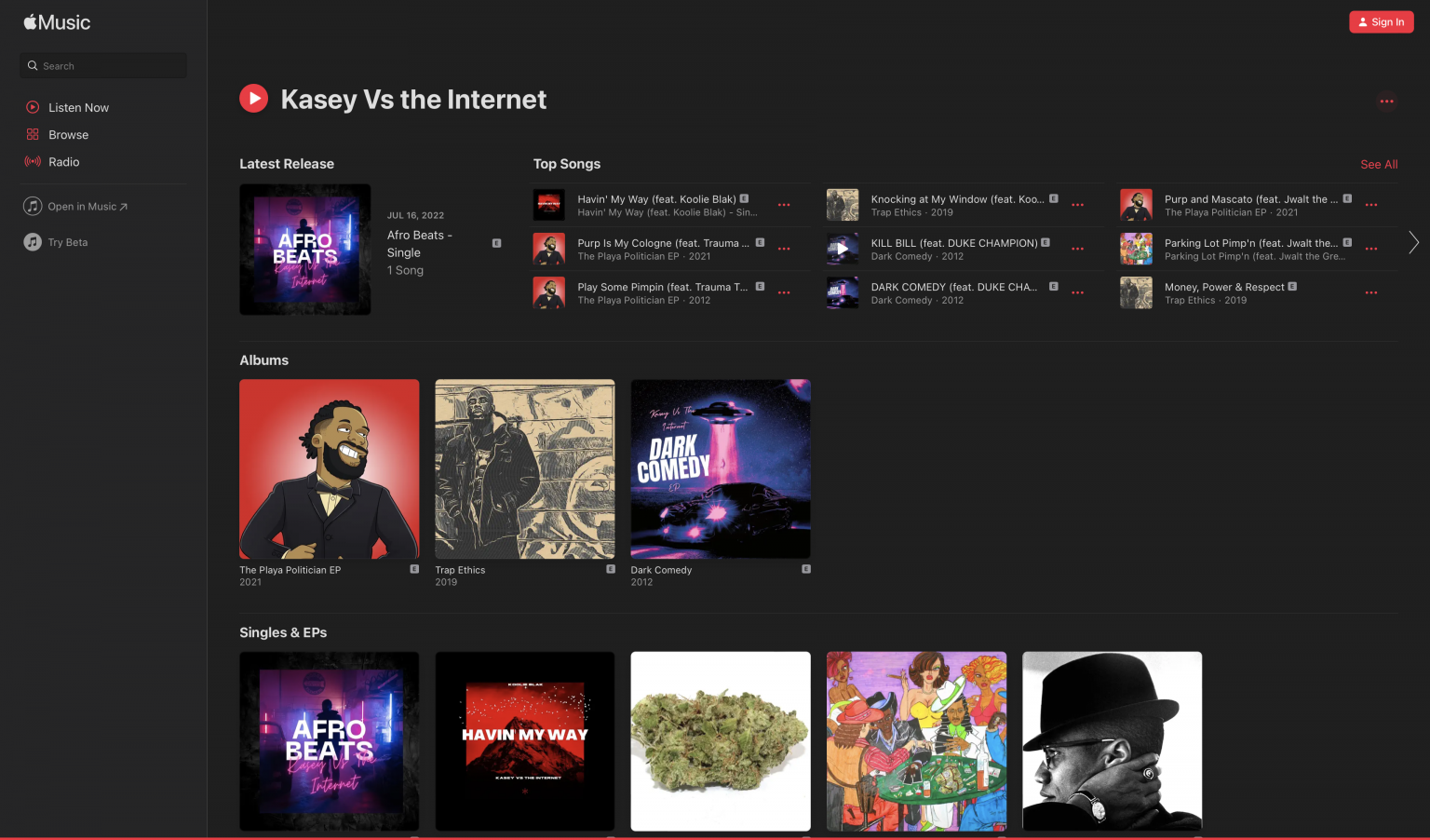 kasey vs the internet music